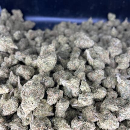 Lemon cherry gelato strain
