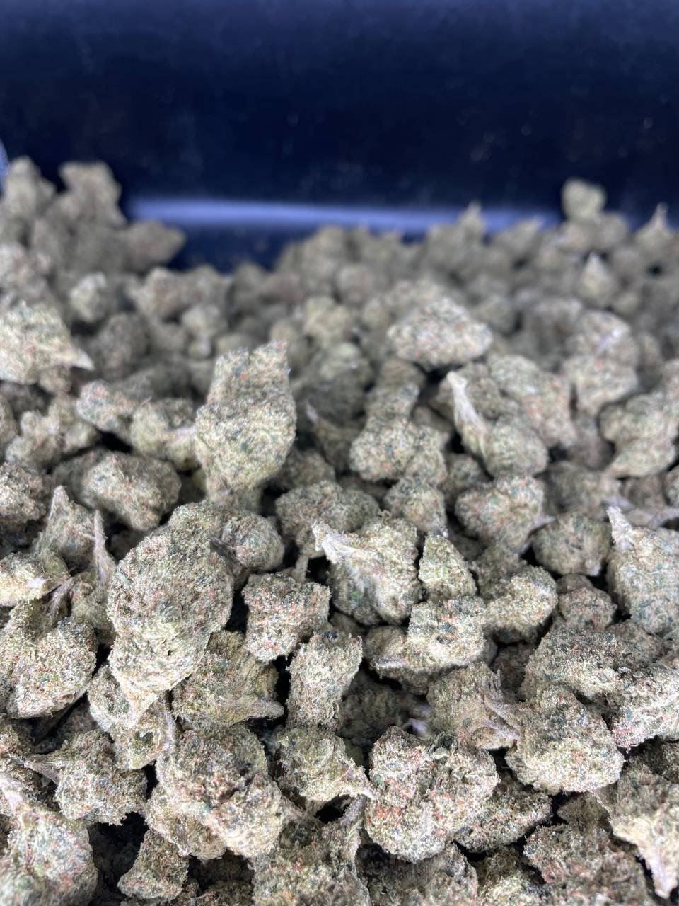 WhatsApp Image 2025-08-04 at 15.35.04_5f033f87 Lemon cherry gelato strain