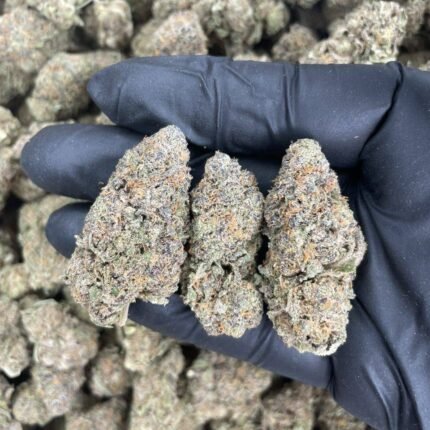 Granddaddy Purple