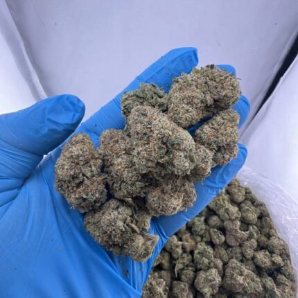 Candy runtz strain
