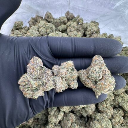 Blue nerds strain