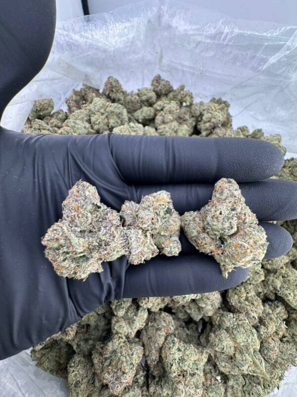 Blue nerds strain
