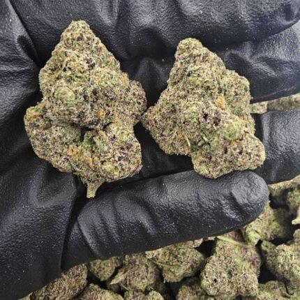 Candy rain strain