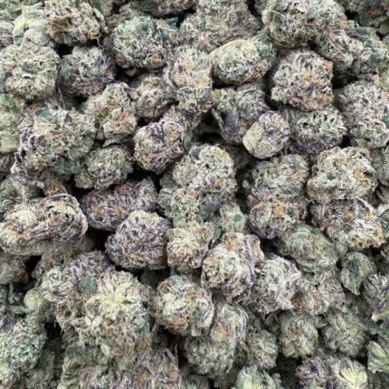 Wagyu strain