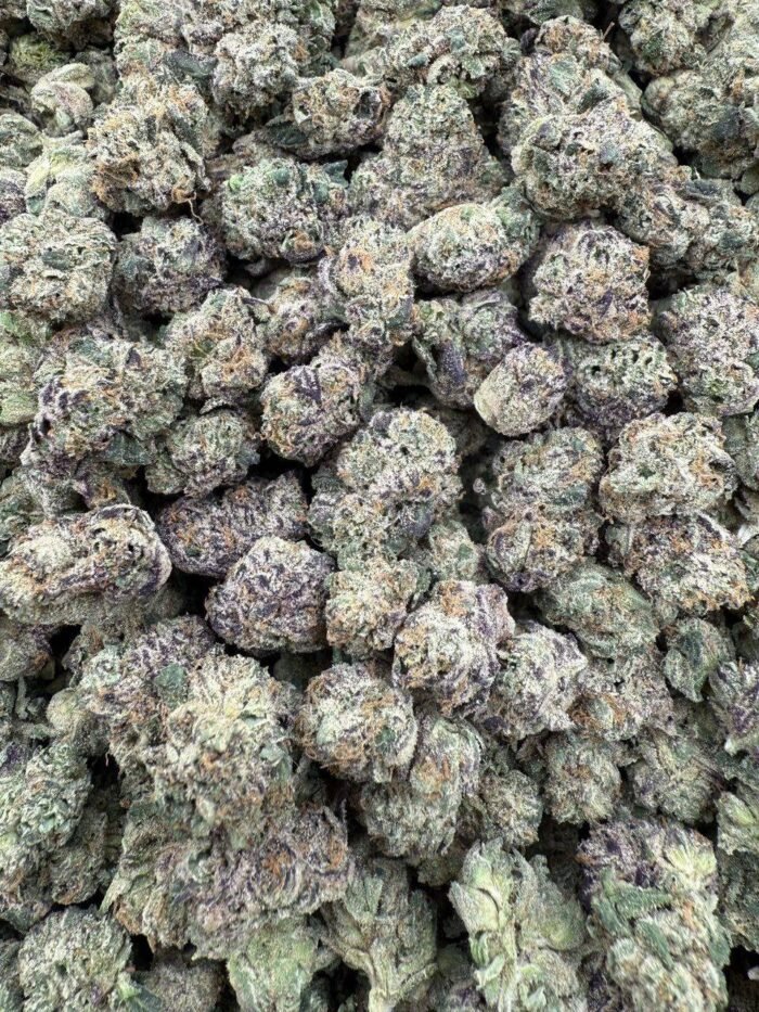 Wagyu strain
