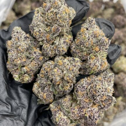 Rainbow runtz strain