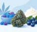 Blue Nerds Strain Flavour: A Taste Example