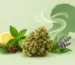 Bruce Banner Strain Aroma Example: What to Expect