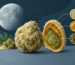 What Makes Moon Rocks Potent? The Layers Matter